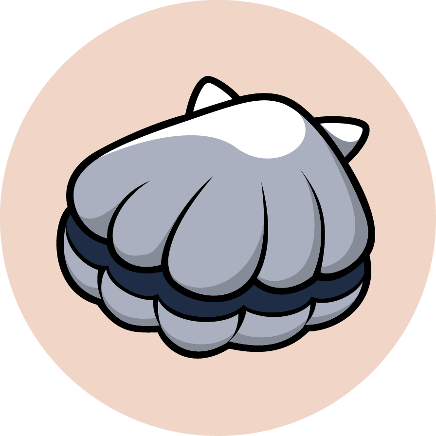 Scallop